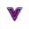 VidgoAI
