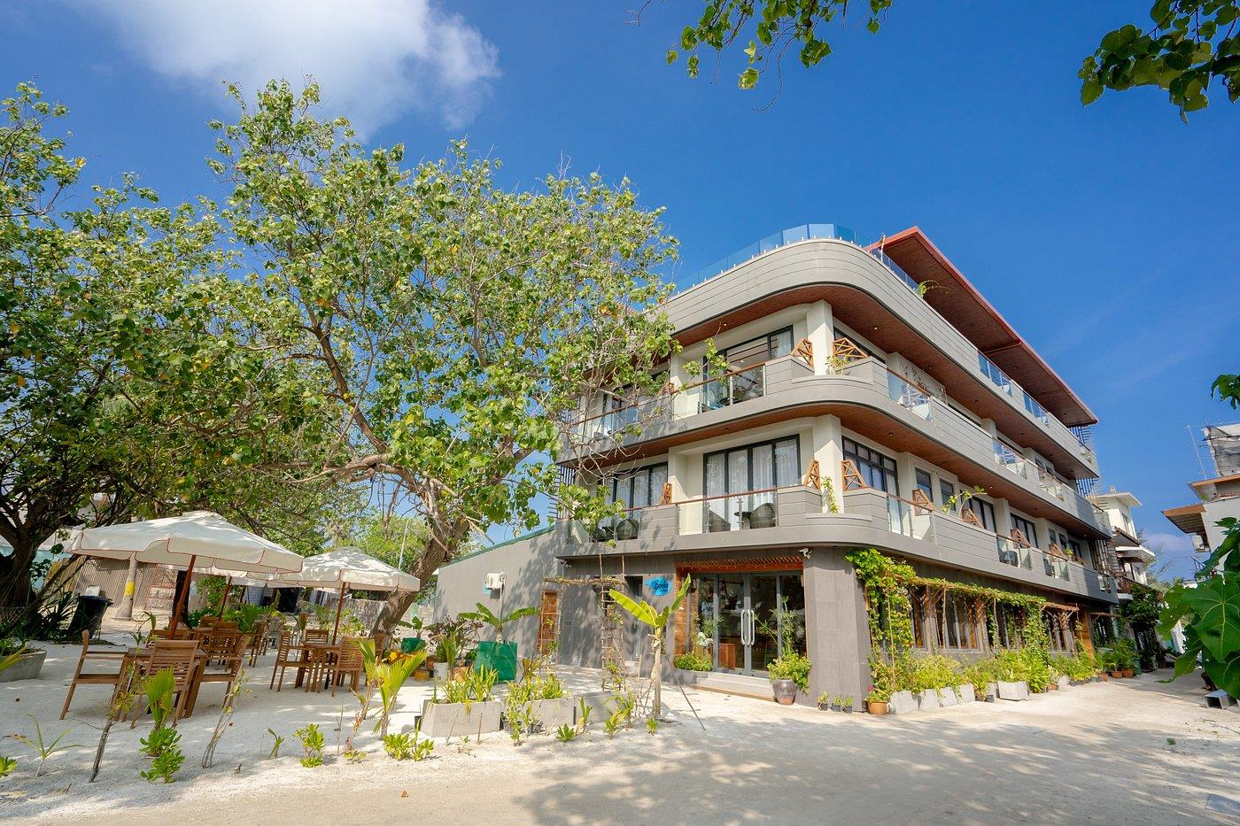 Ayala Ocean View. Фото 1