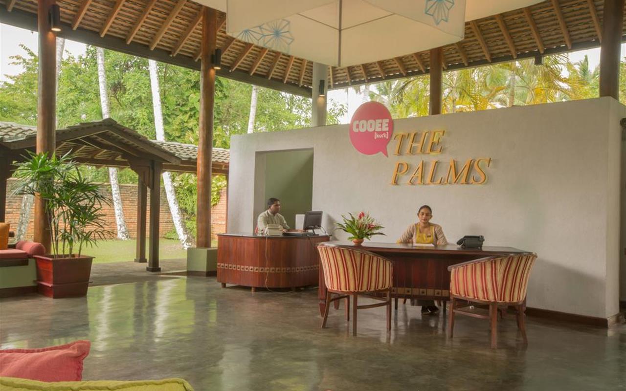 The Palms Hotel. Фото 4