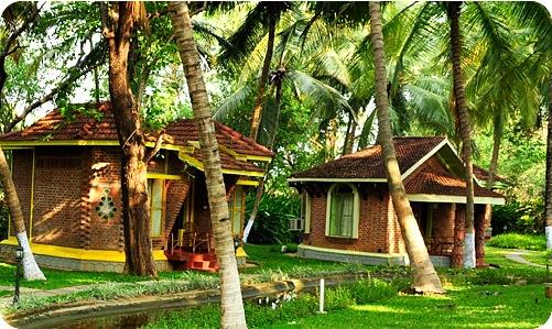 Kairali Ayurvedic Healing Village. Фото 3