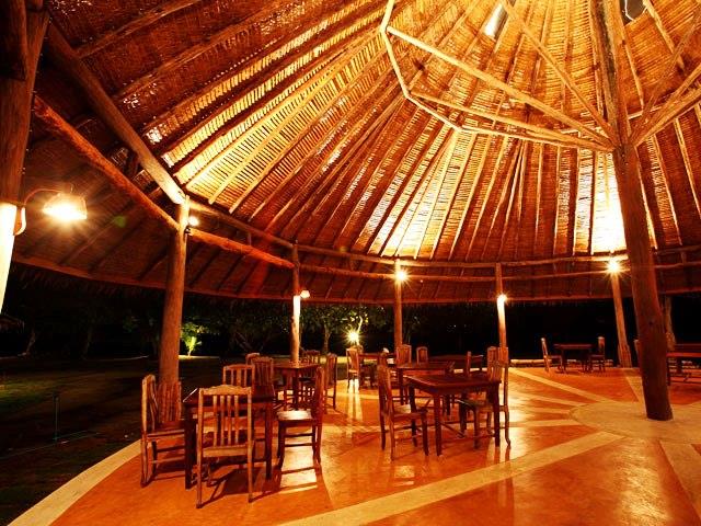 The Tropical Hideaway. Фото 2