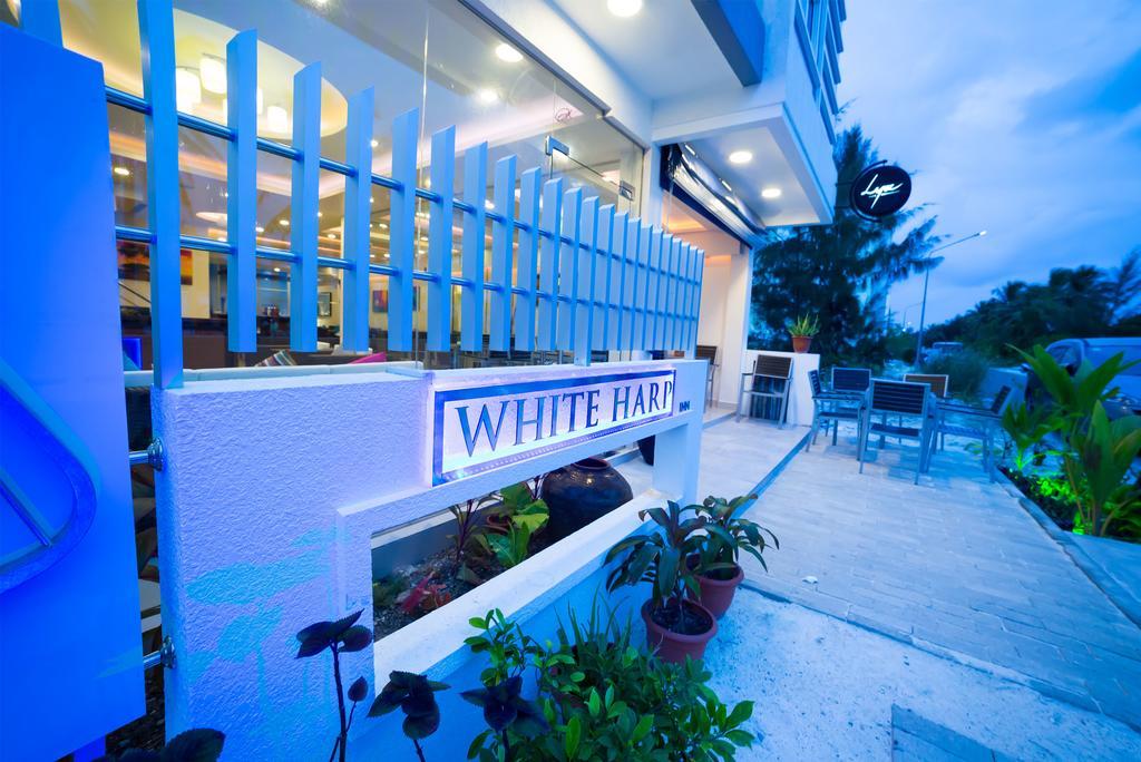 The White Harp Beach Hotel. Фото 2