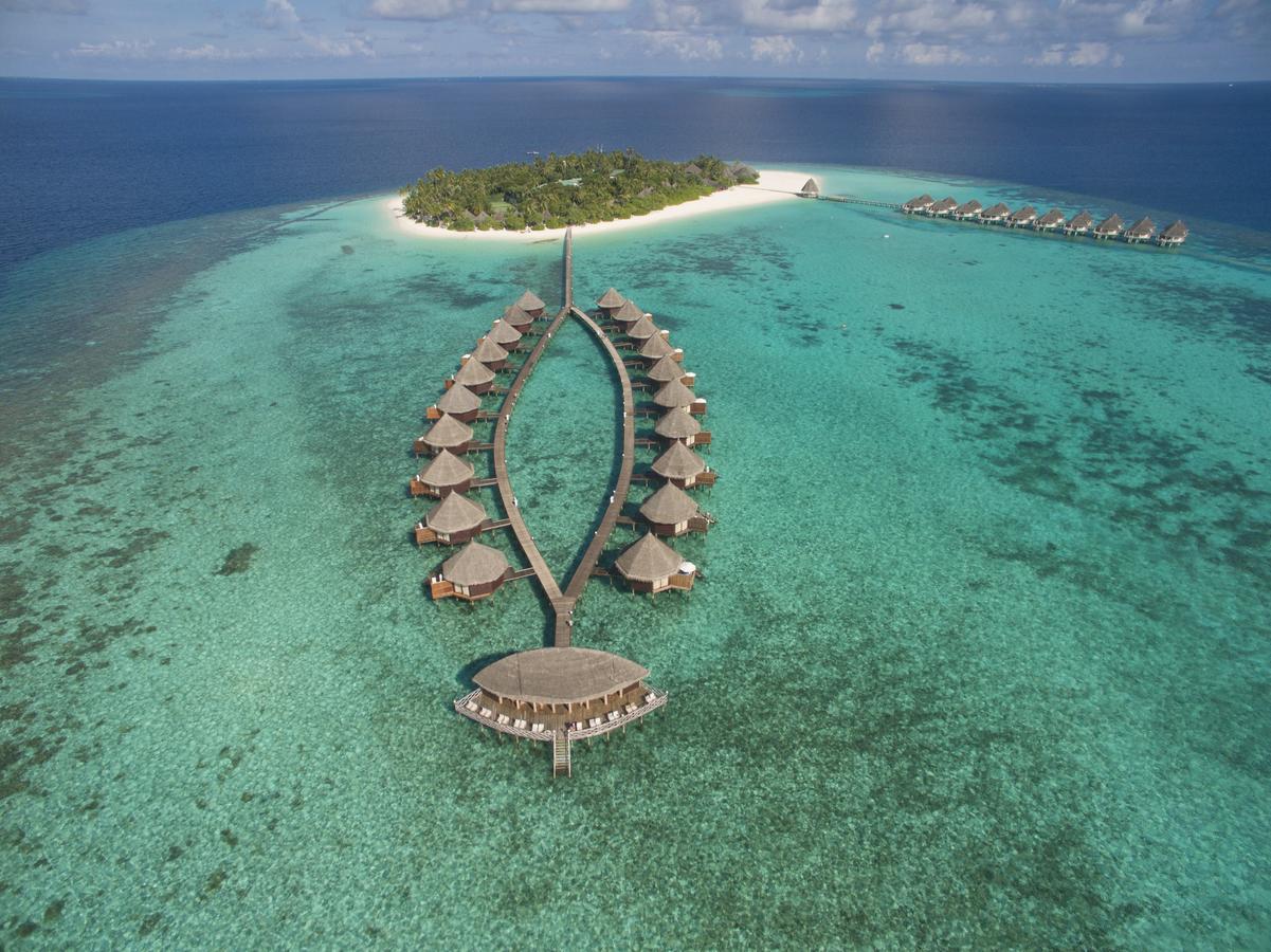 Angaga Island Resort & Spa. Фото 4