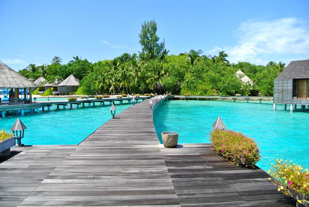Gangehi Island Resort & Spa. Фото 2