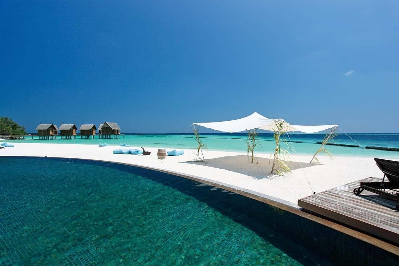 Constance Moofushi. Фото 4