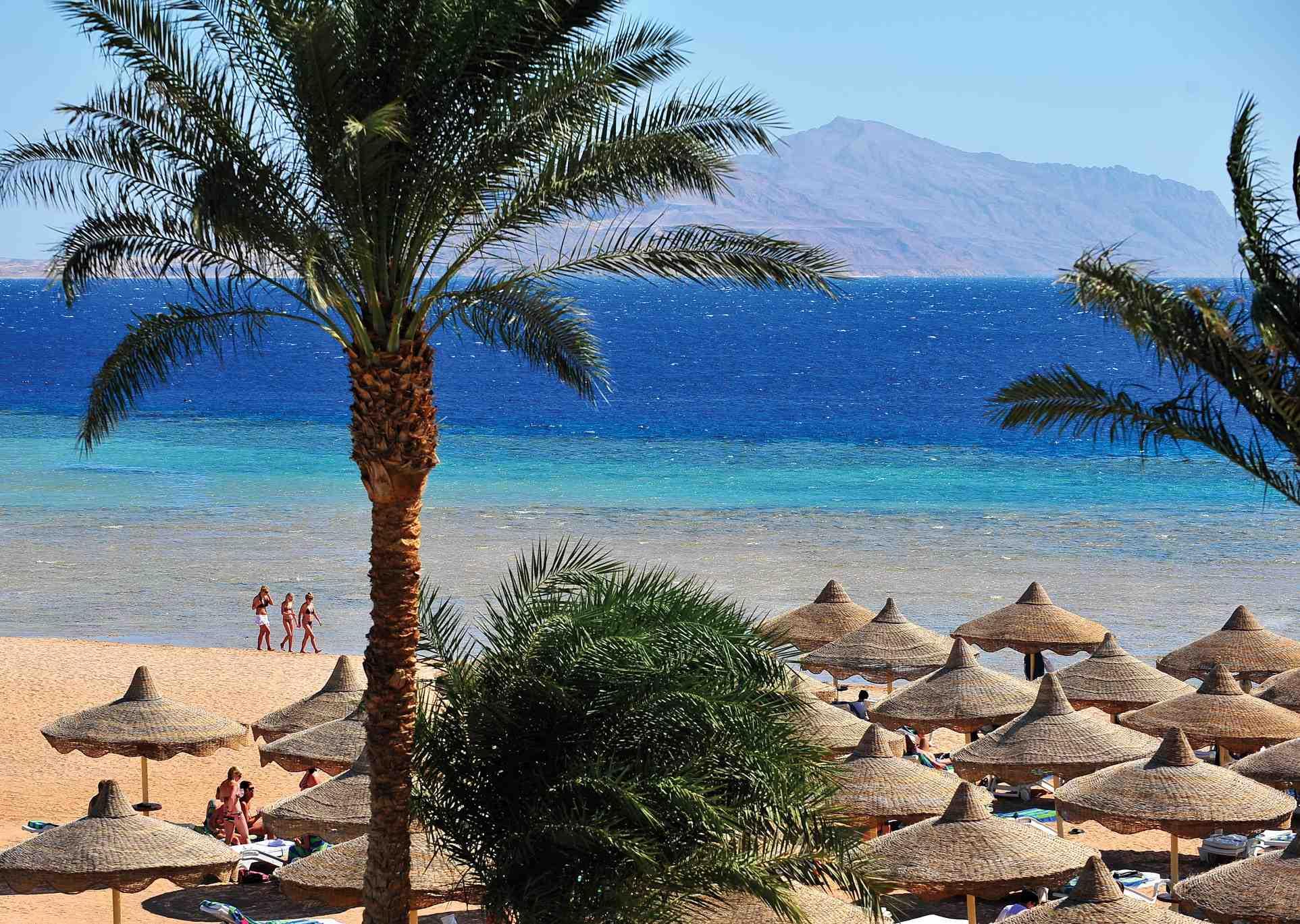 Baron Palms Sharm El Sheikh (16+). Фото 2