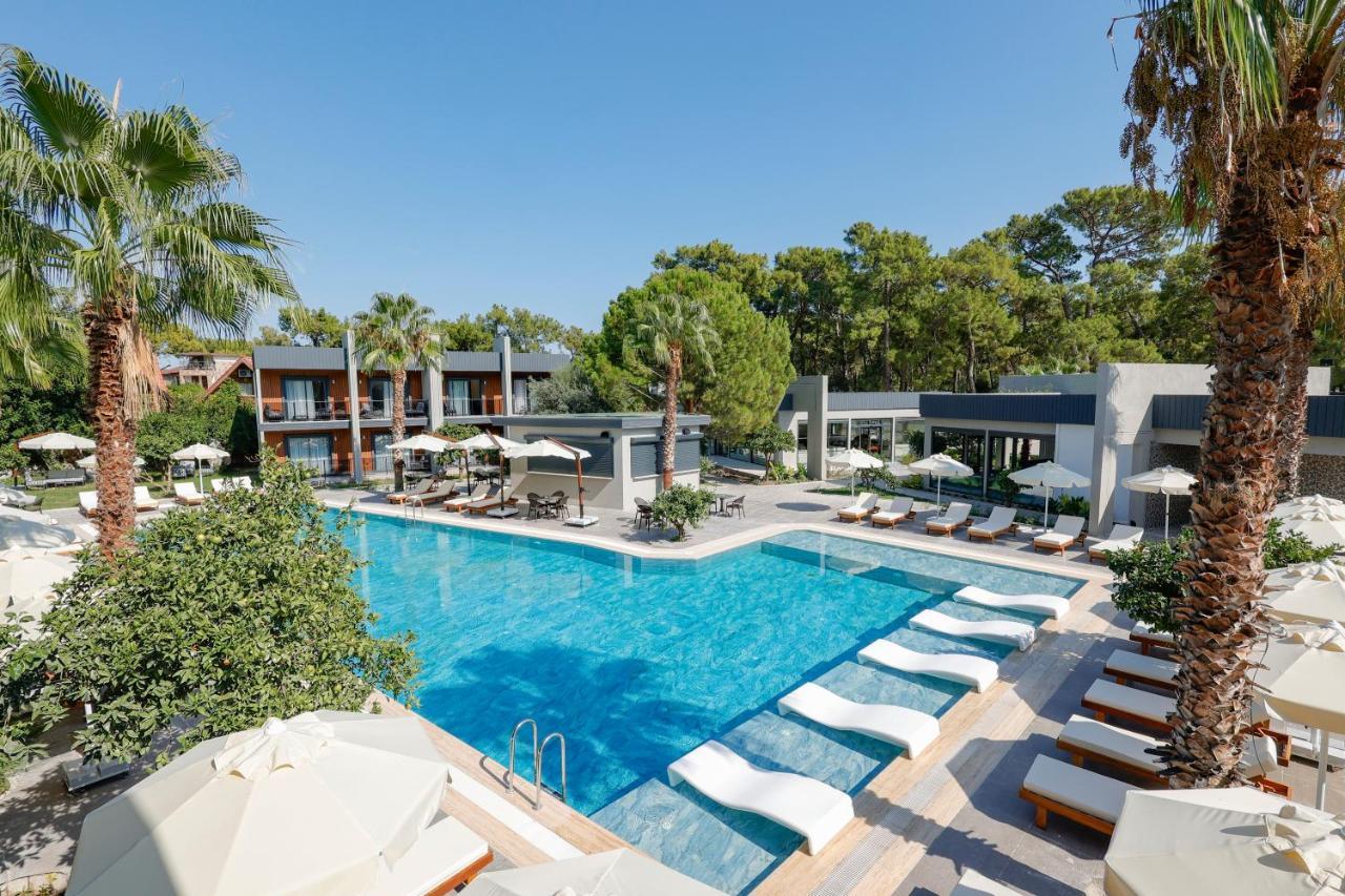 Forest In Hotel. Фото 1