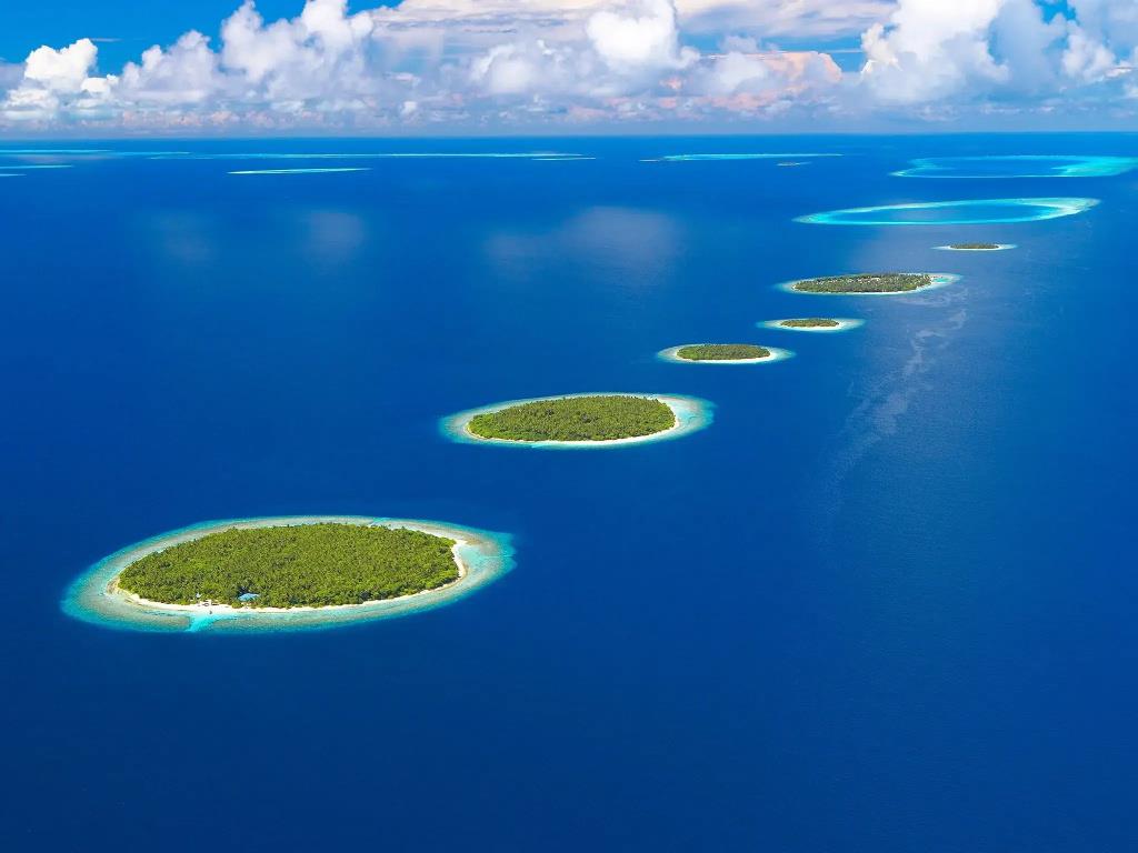 Dhoani Maldives Guesthouse. Фото 2