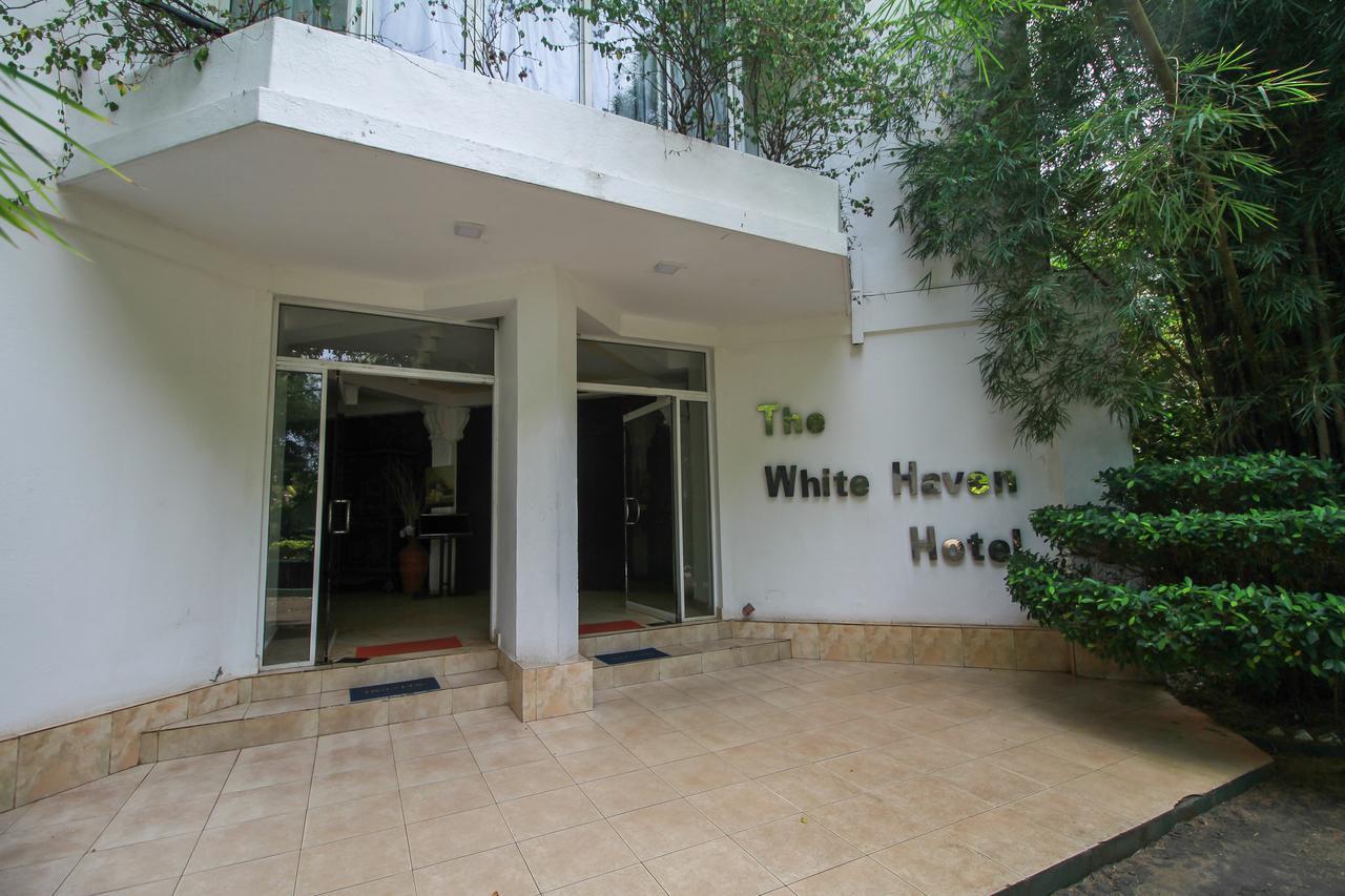 The White Haven. Фото 1