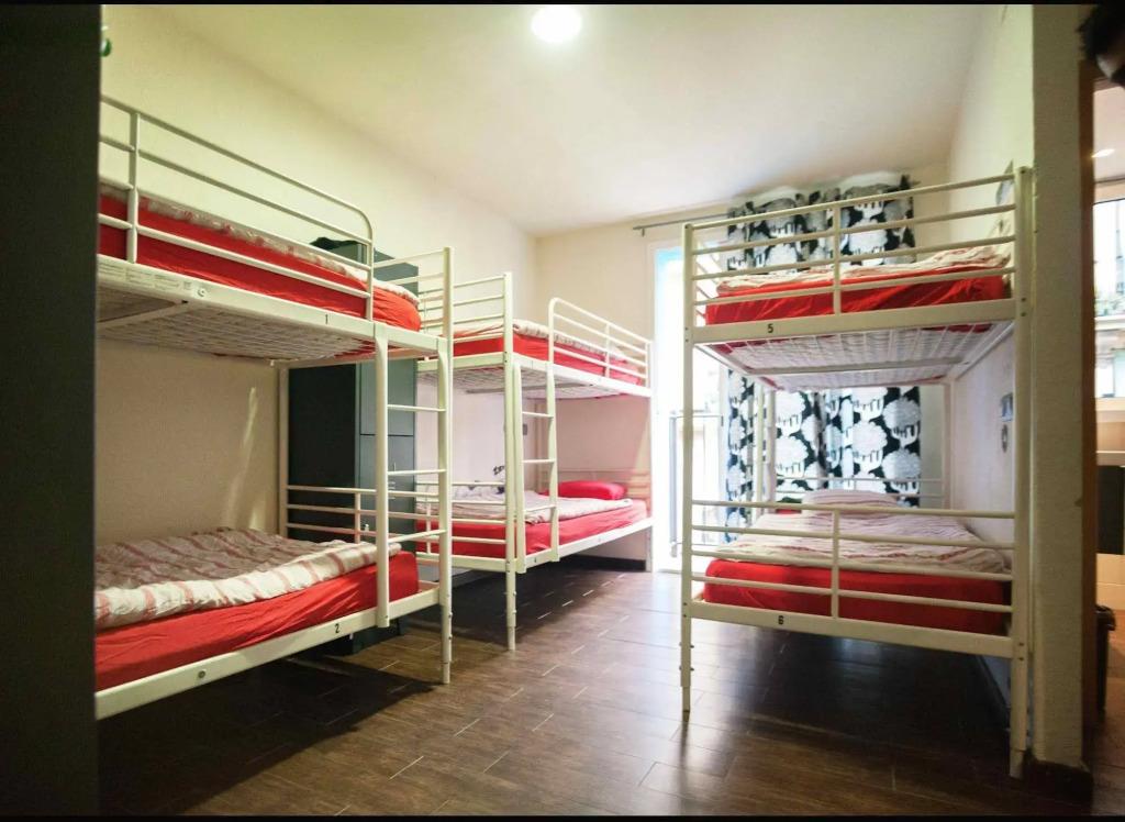 Hostel One Paralelo. Фото 4