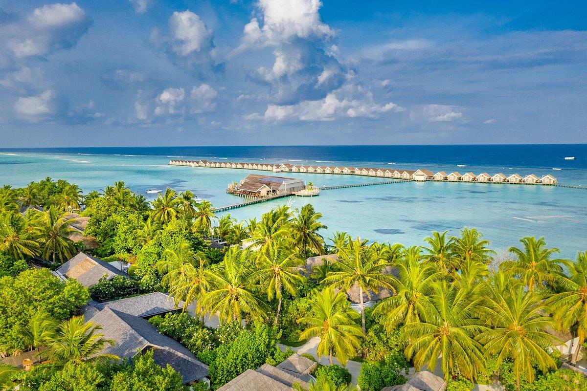 LUX* South Ari Atoll. Фото 4