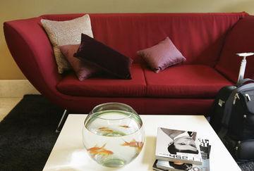 Hotel Midmost Barcelona. Фото 4