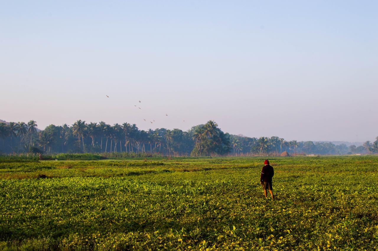Shivam Bnb Mandrem. Фото 3