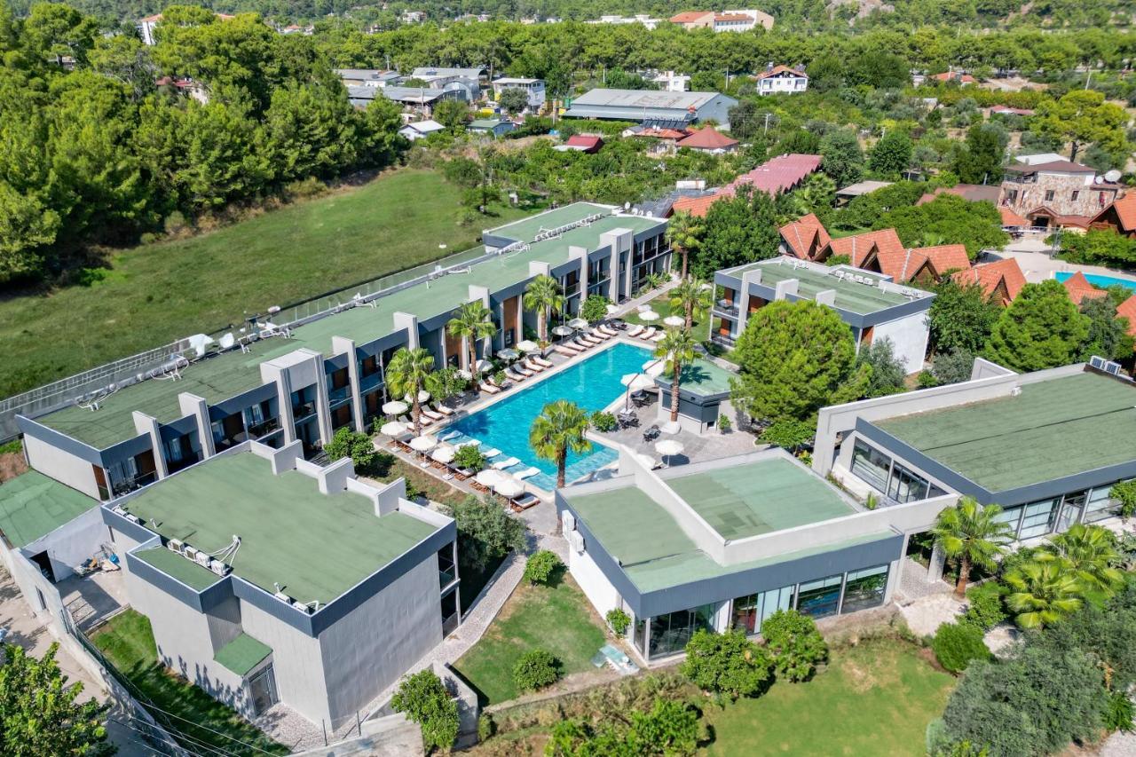 Forest In Hotel. Фото 3