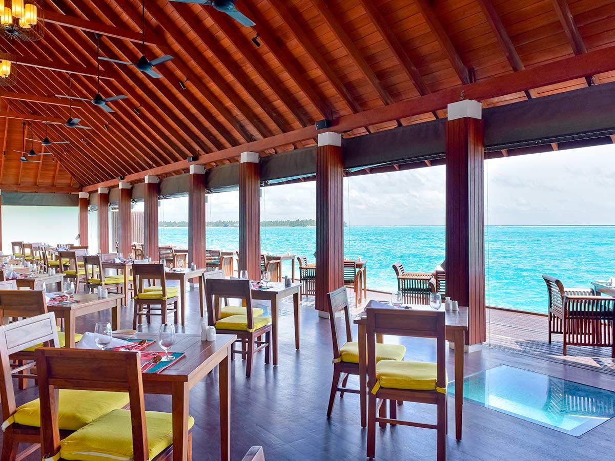 Summer Island Maldives. Фото 3