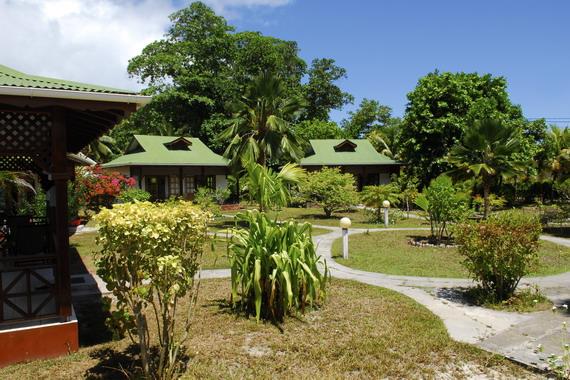 Fleur De Lys. Фото 1