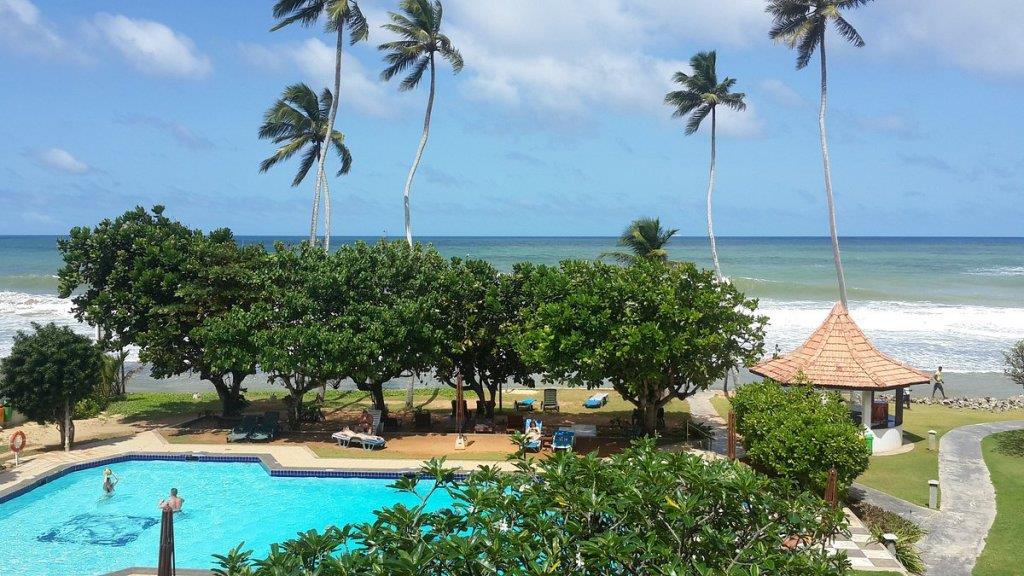 Lanka Super Corals. Фото 4