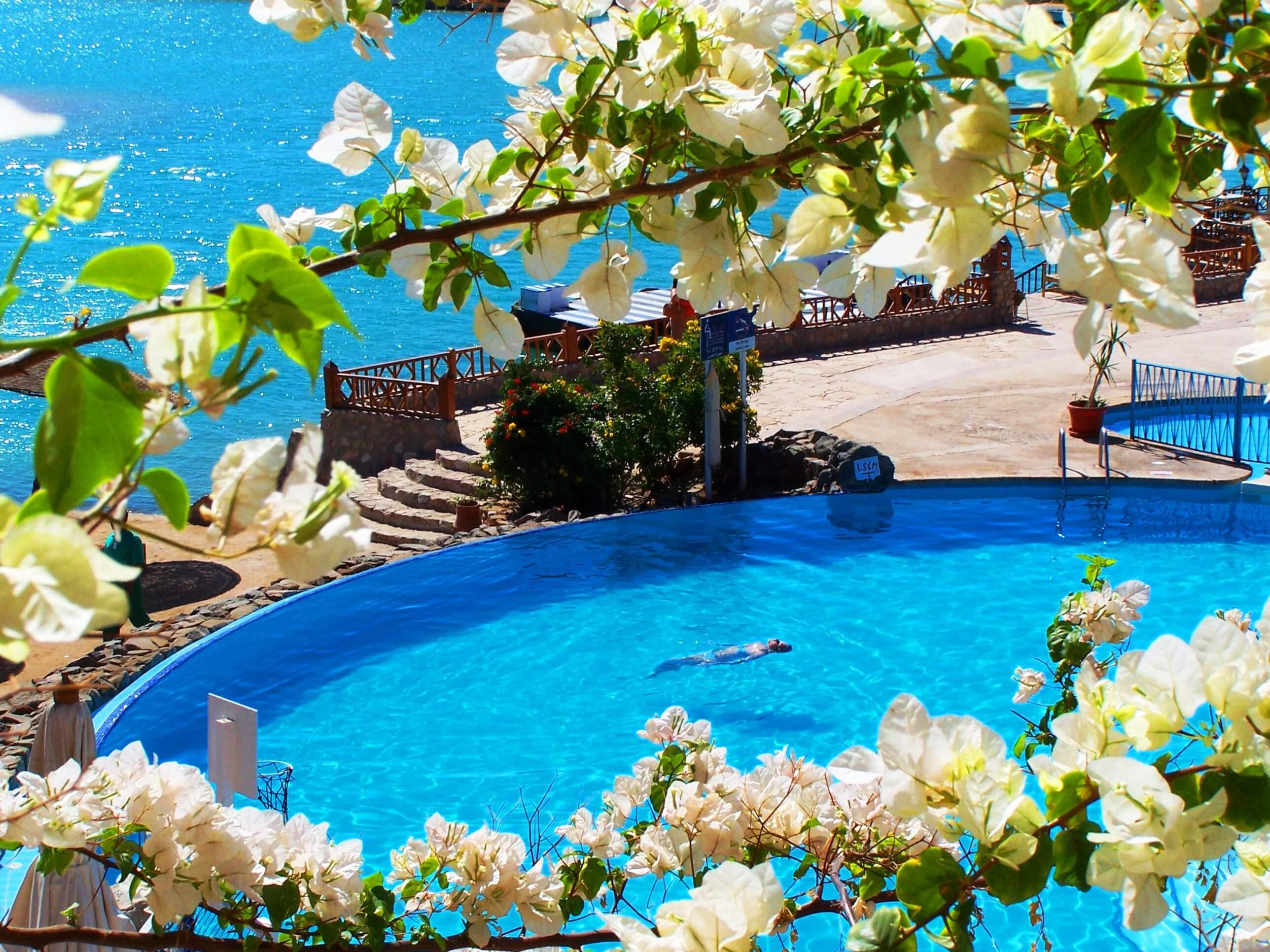 Sultan Bey Hotel. Фото 2