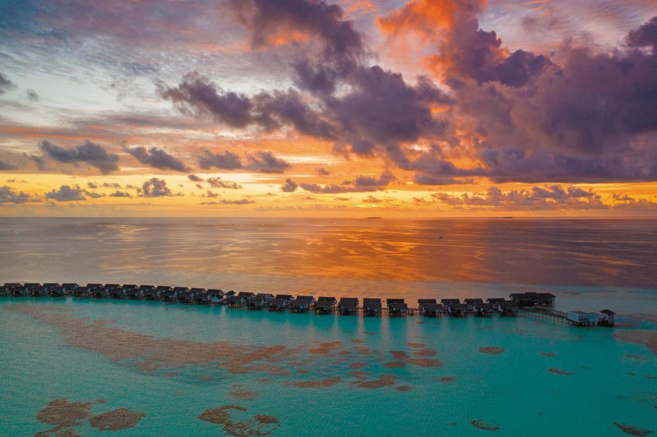 Ozen Life Maadhoo. Фото 4