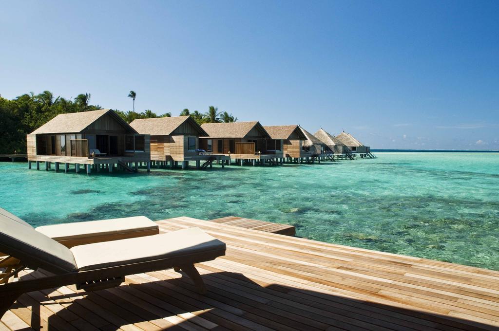 Gangehi Island Resort & Spa. Фото 3