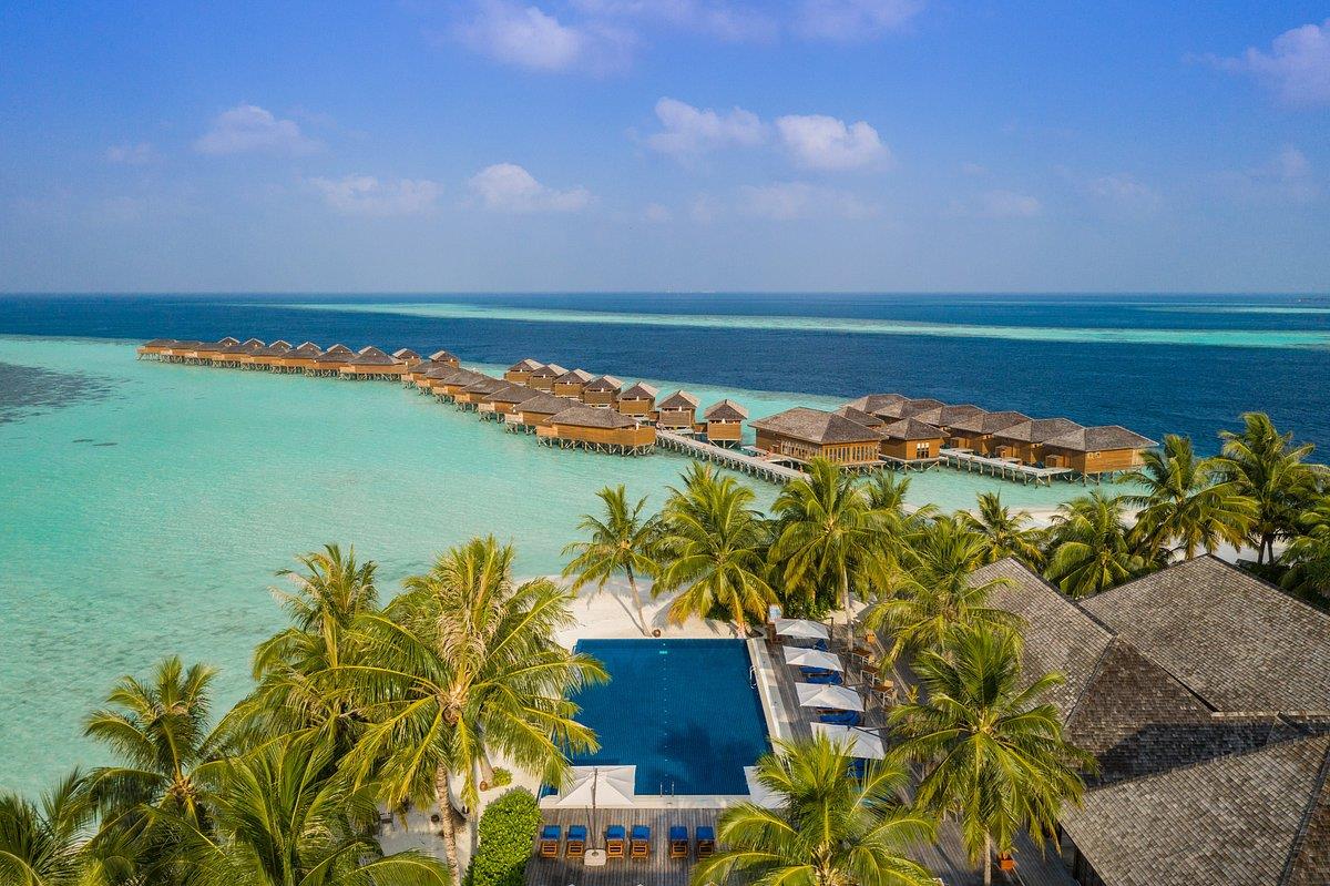 Vilamendhoo Island Resort & Spa. Фото 3