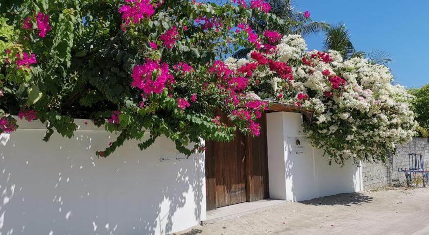 Holiday Cottage (Thoddoo). Фото 1