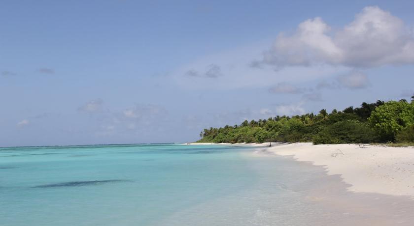 Plus View Maldives. Фото 2