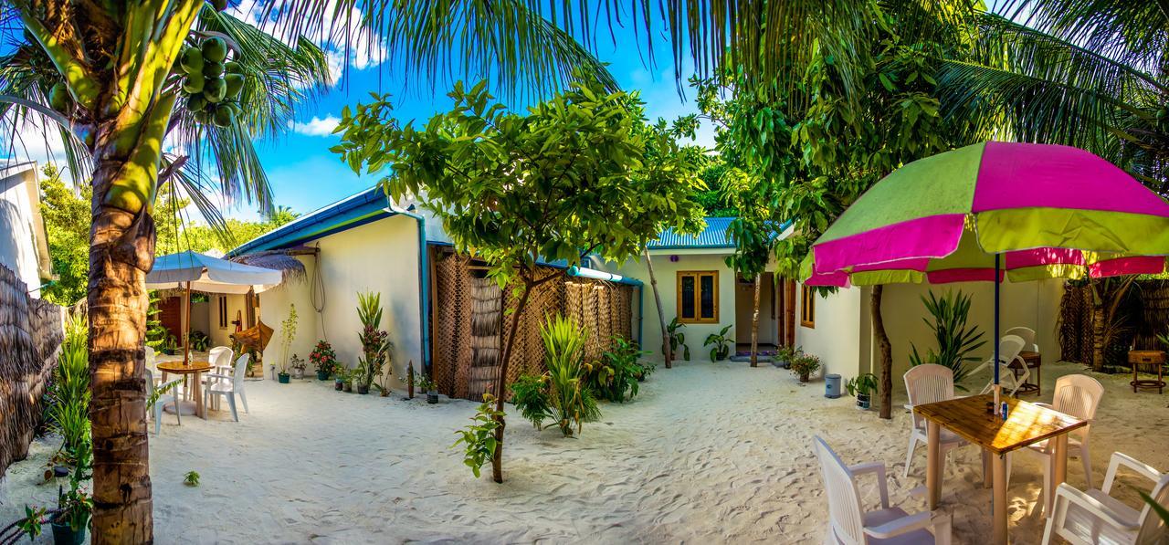 Amazing View Guest House. Фото 1