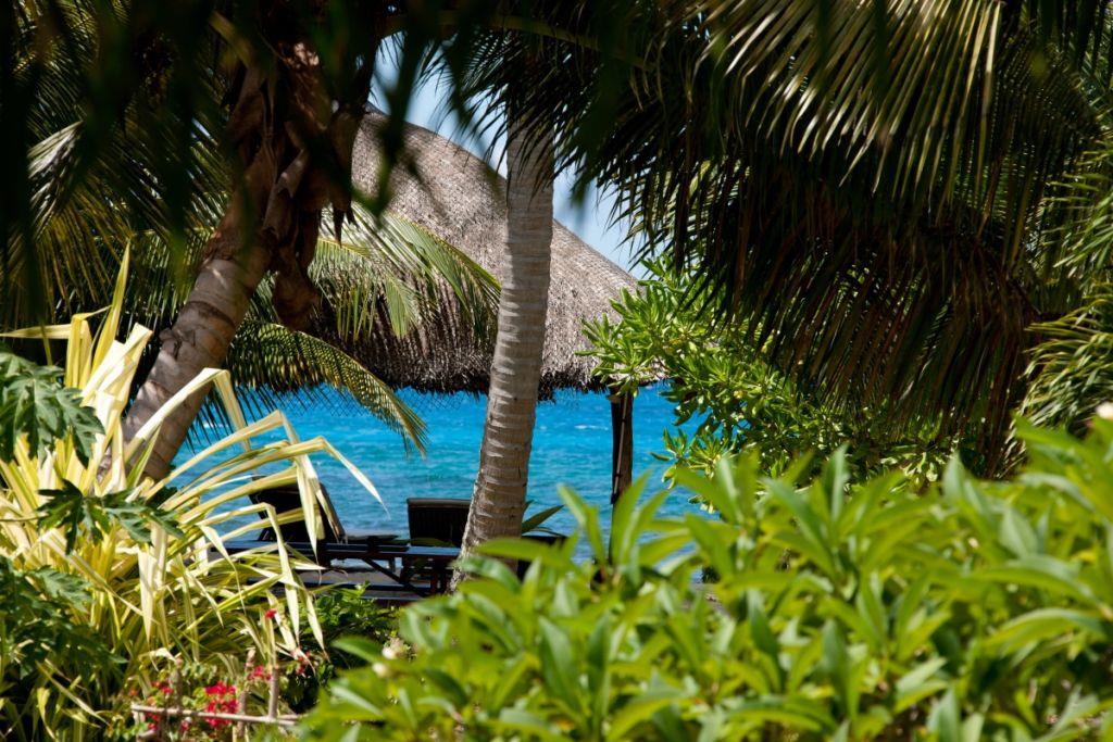 Villas Du Voyageur. Фото 1