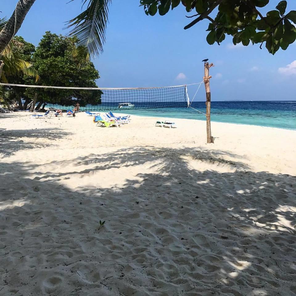 LVIS Blancura. Фото 4