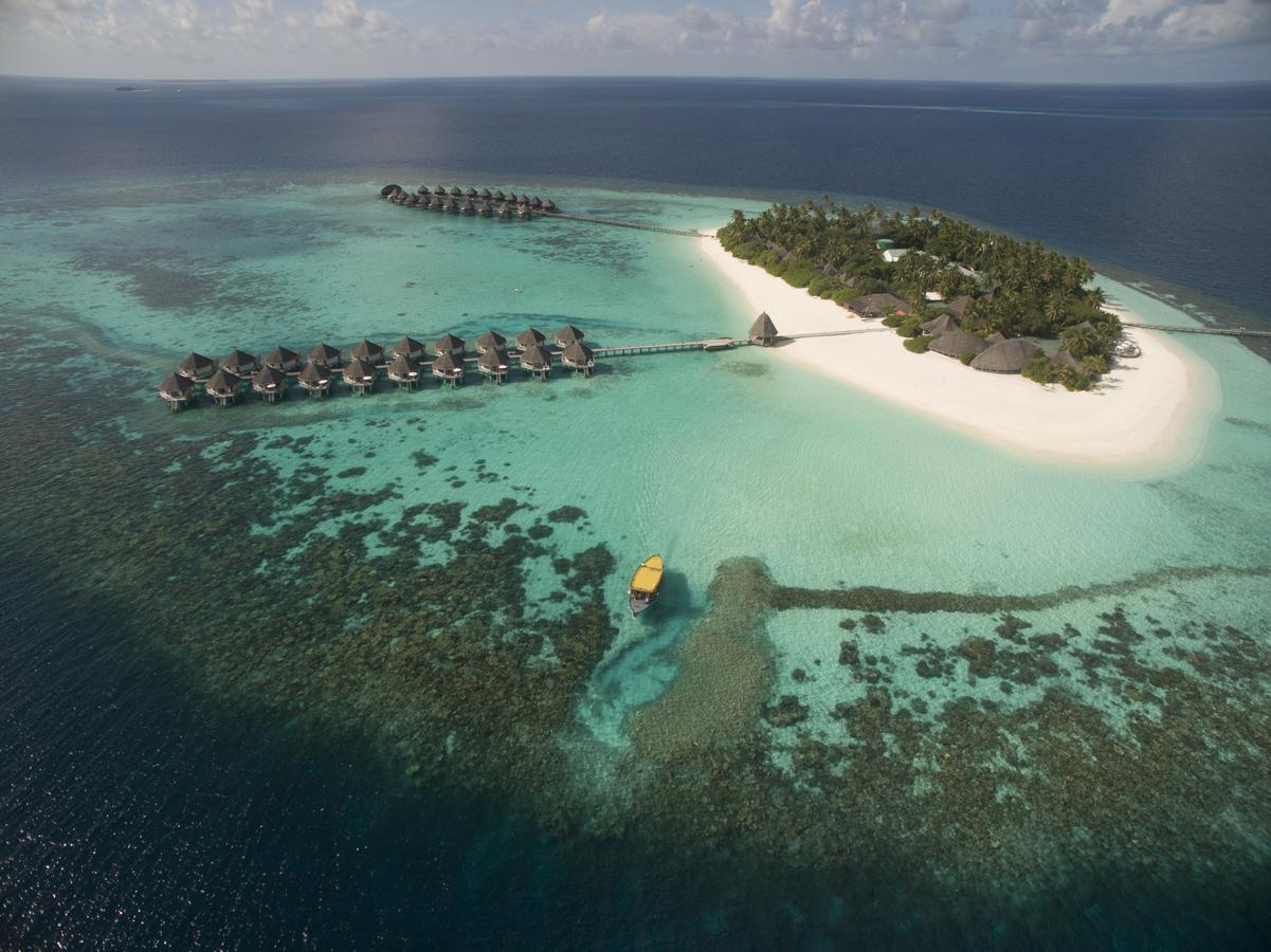 Angaga Island Resort & Spa. Фото 3