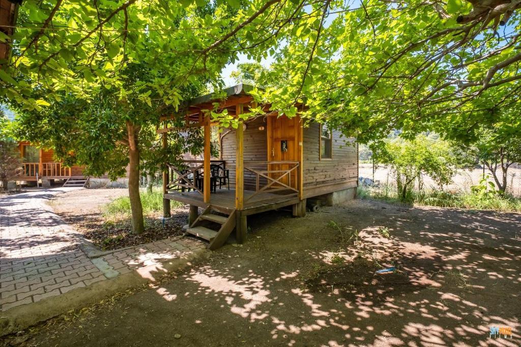 Likya Yanartas Bungalows. Фото 3