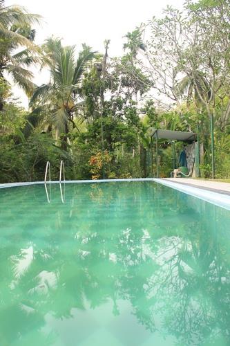 Plantation Villa. Фото 1