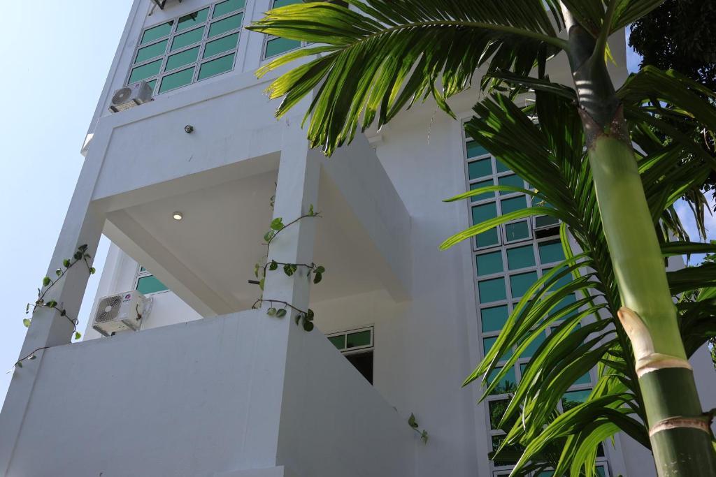 Shams Thoddoo. Фото 1