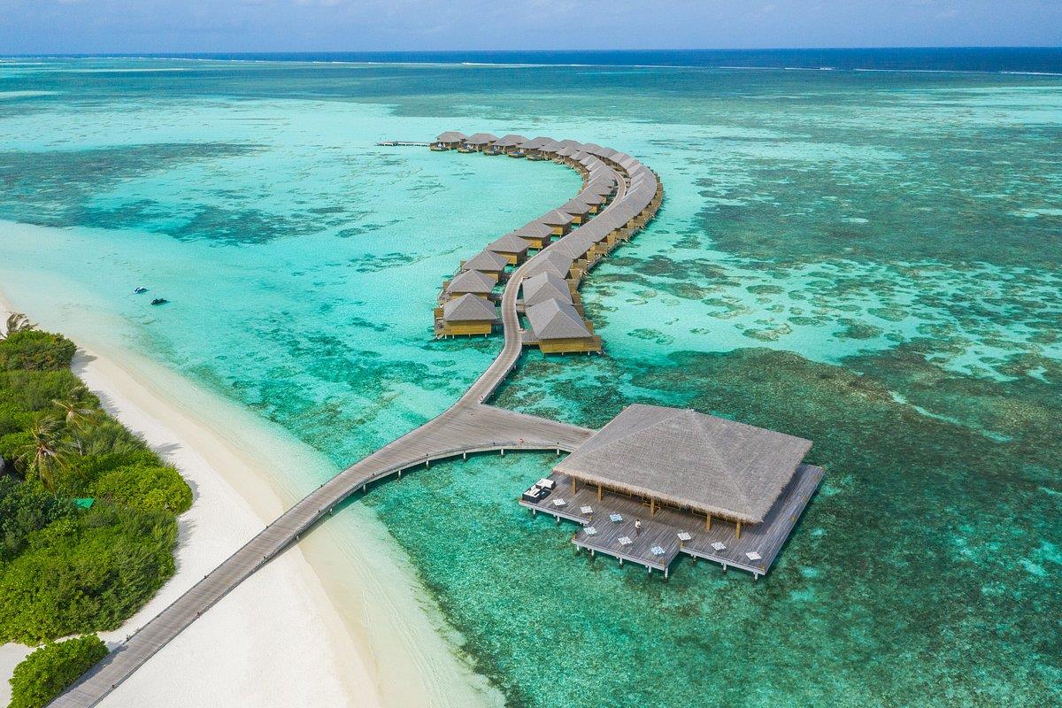 Cocoon Maldives. Фото 2