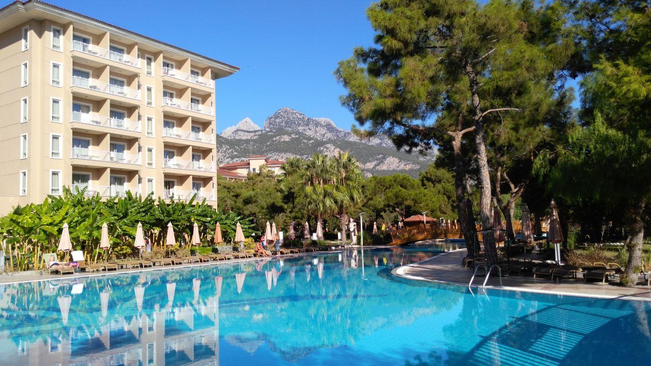 Akka Antedon. Фото 2