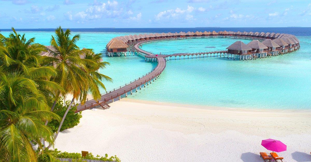 Sun Siyam Vilu Reef. Фото 2