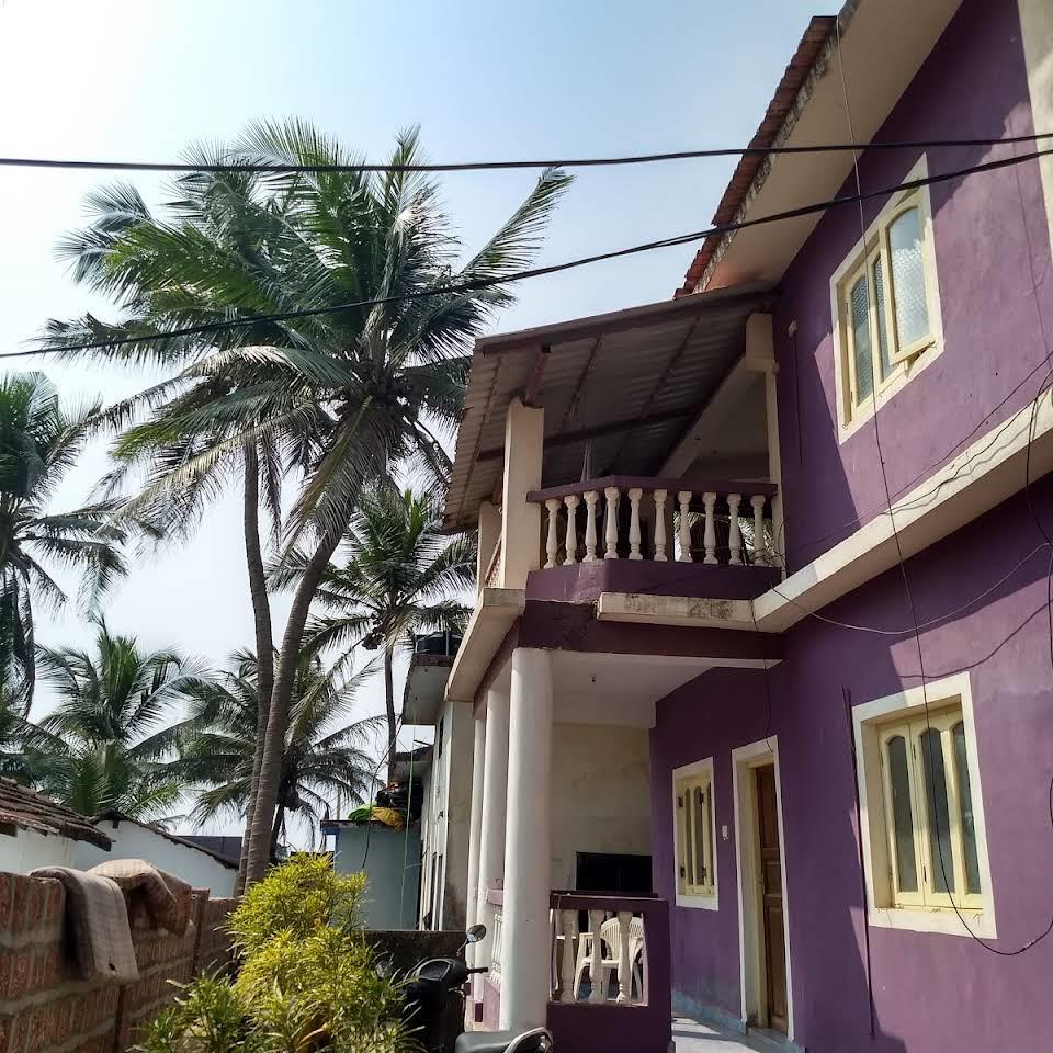 Orchid Beach House. Фото 2