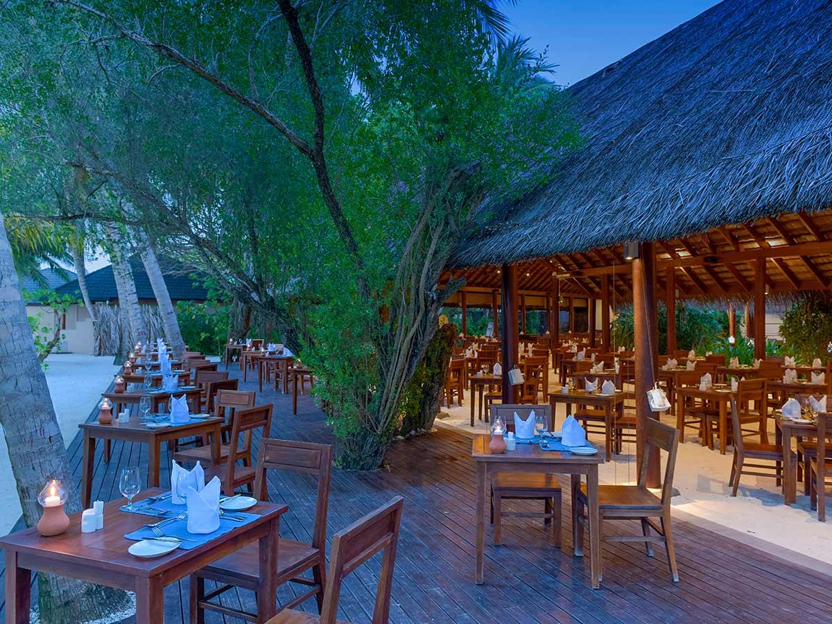 Summer Island Maldives. Фото 2