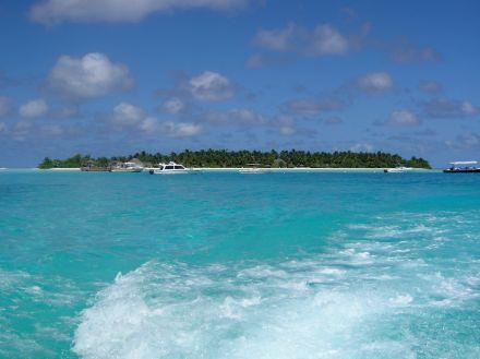 Rihiveli Maldives Resort. Фото 4
