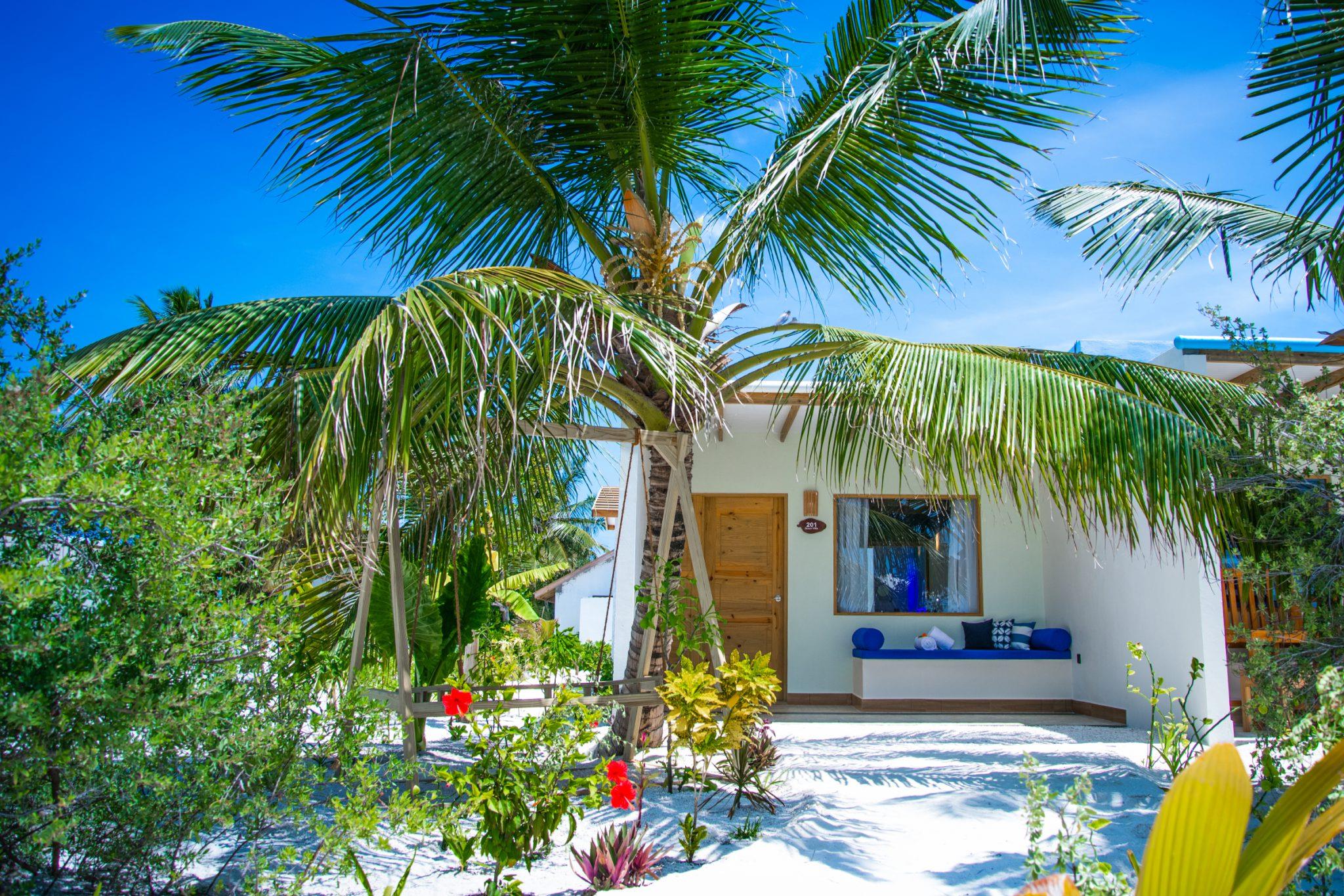 South Palm Resort Maldives. Фото 1