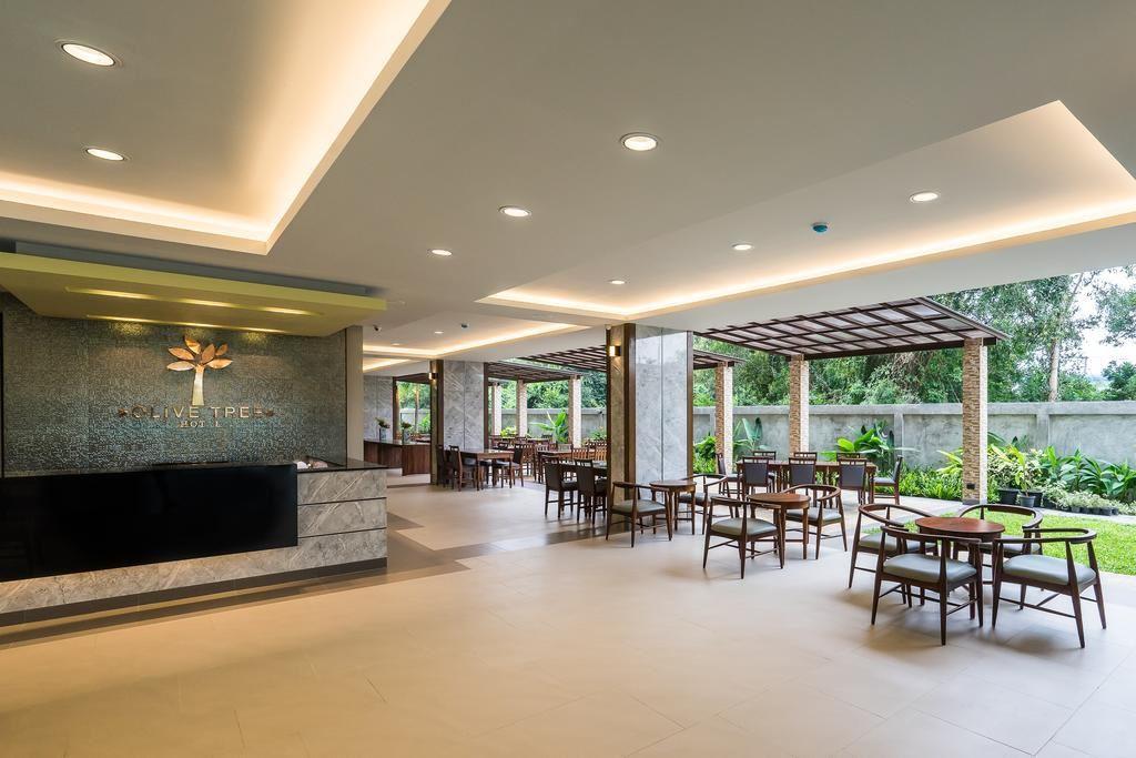 Olive Tree Hotel. Фото 3
