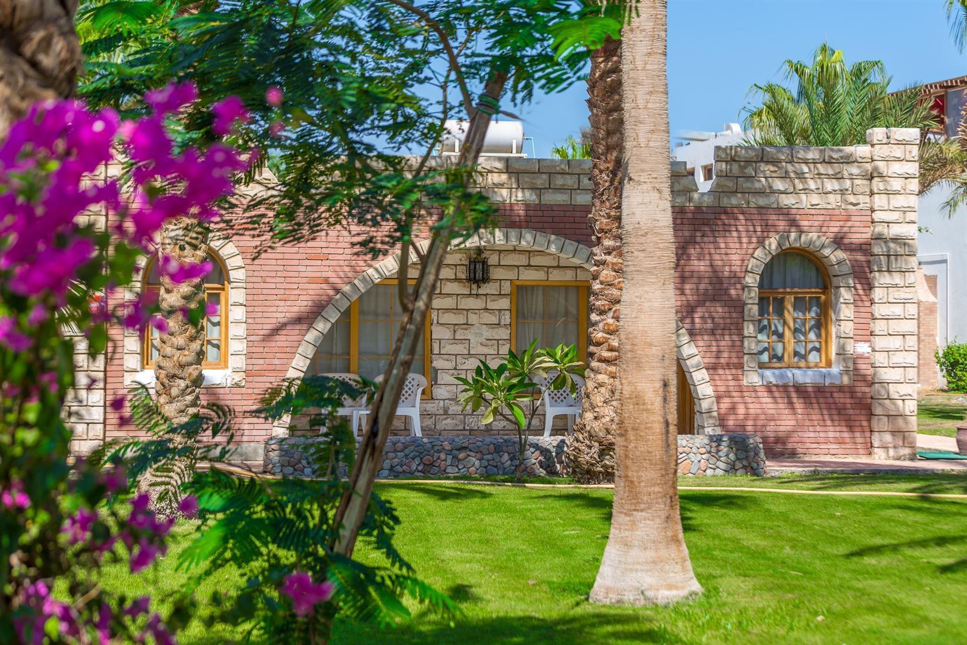 Aladdin Beach Resort. Фото 3