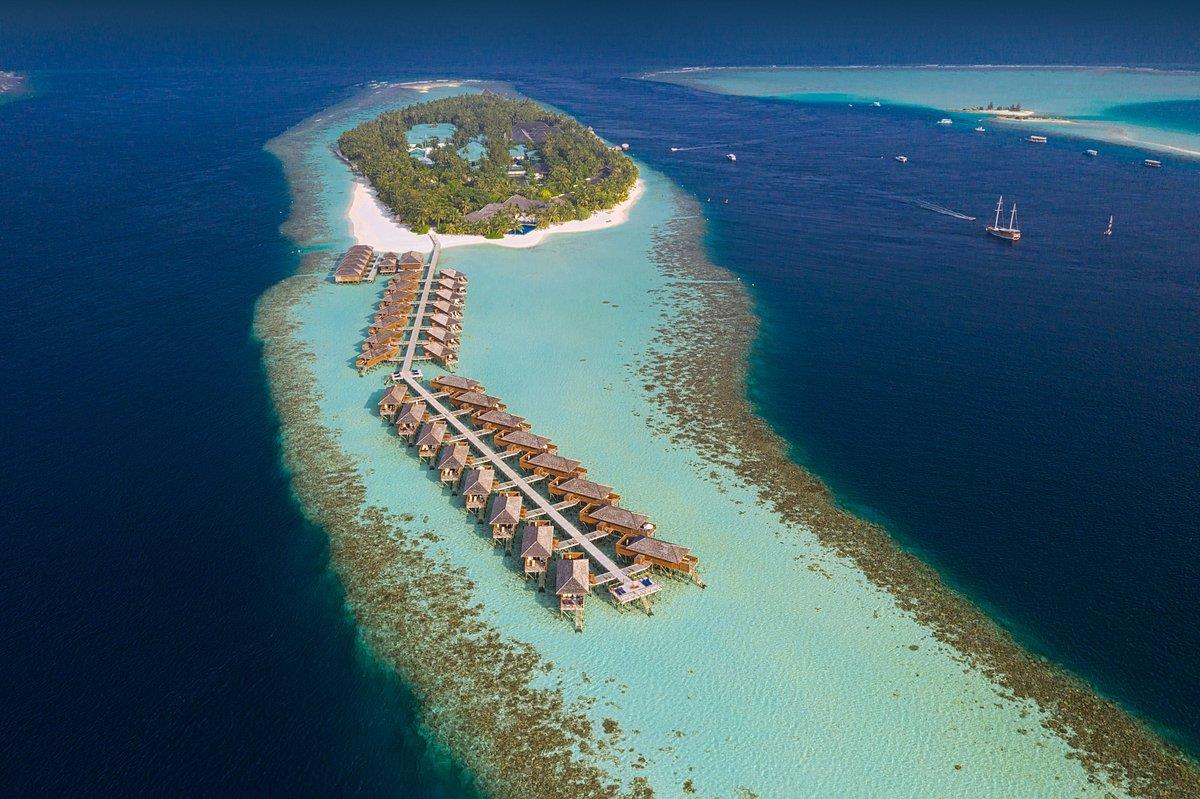 Vilamendhoo Island Resort & Spa. Фото 2