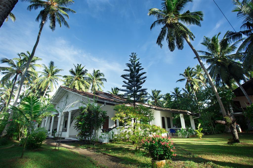 Sonri Villa. Фото 1