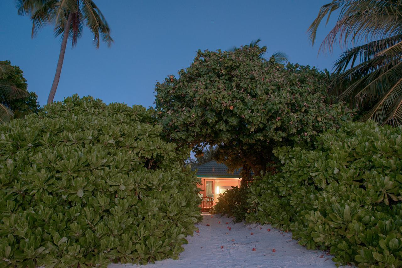 Canareef Resort Maldives. Фото 4