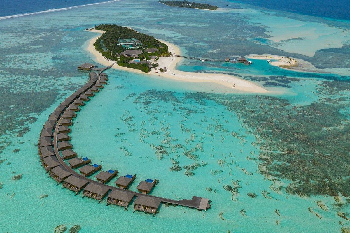 Cocoon Maldives. Фото 1