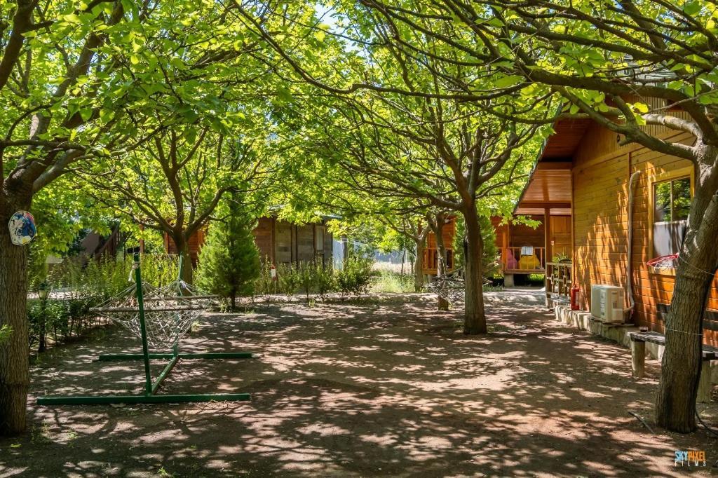 Likya Yanartas Bungalows. Фото 2