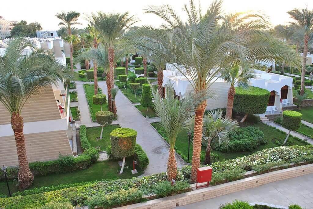 ZYA Regina Resort & Aqua Park Hurghada. Фото 2