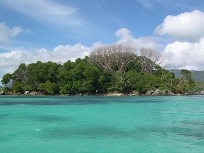 Villa Creole. Фото 4